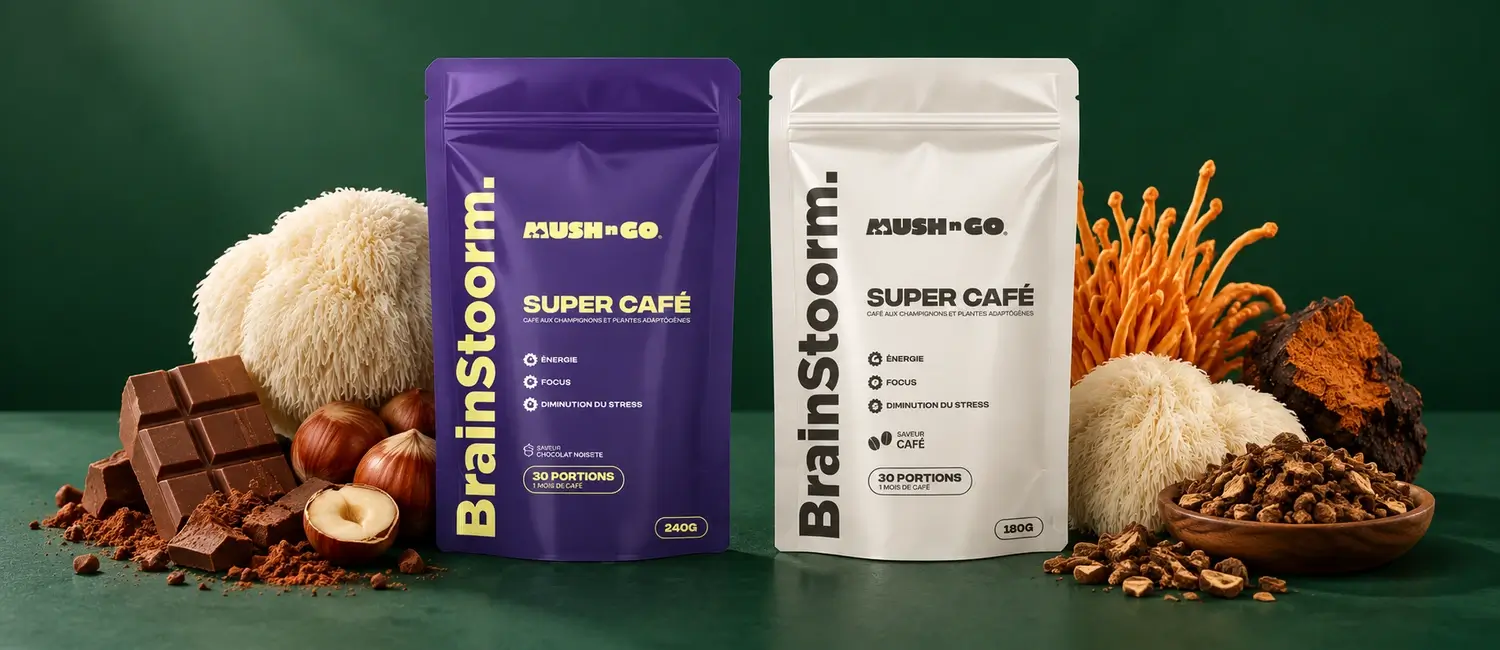 Brainstoorm von Mush N Go in den Sorten Schoko und Café mit Lion’s Mane, Chaga, Cordyceps, Schokolade und Haselnüssen