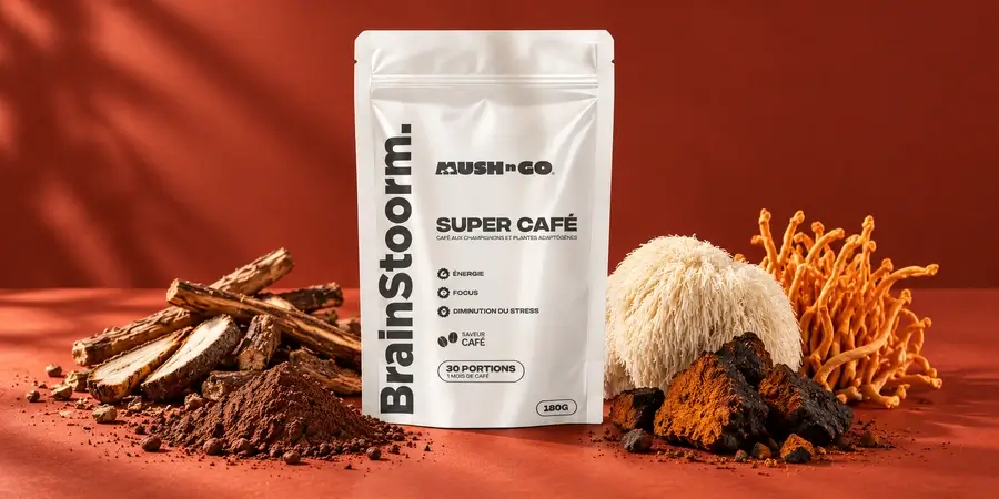 Brainstoorm Café von Mush N Go mit gerösteter Zichorie, Kakao, Lion’s Mane, Chaga und Cordyceps