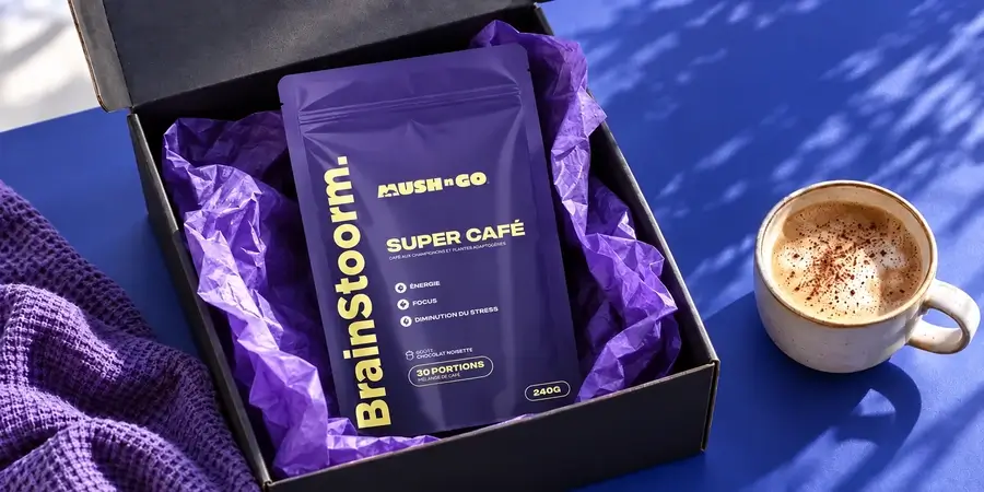 Brainstoorm von Mush N Go in einem geöffneten Versandkarton