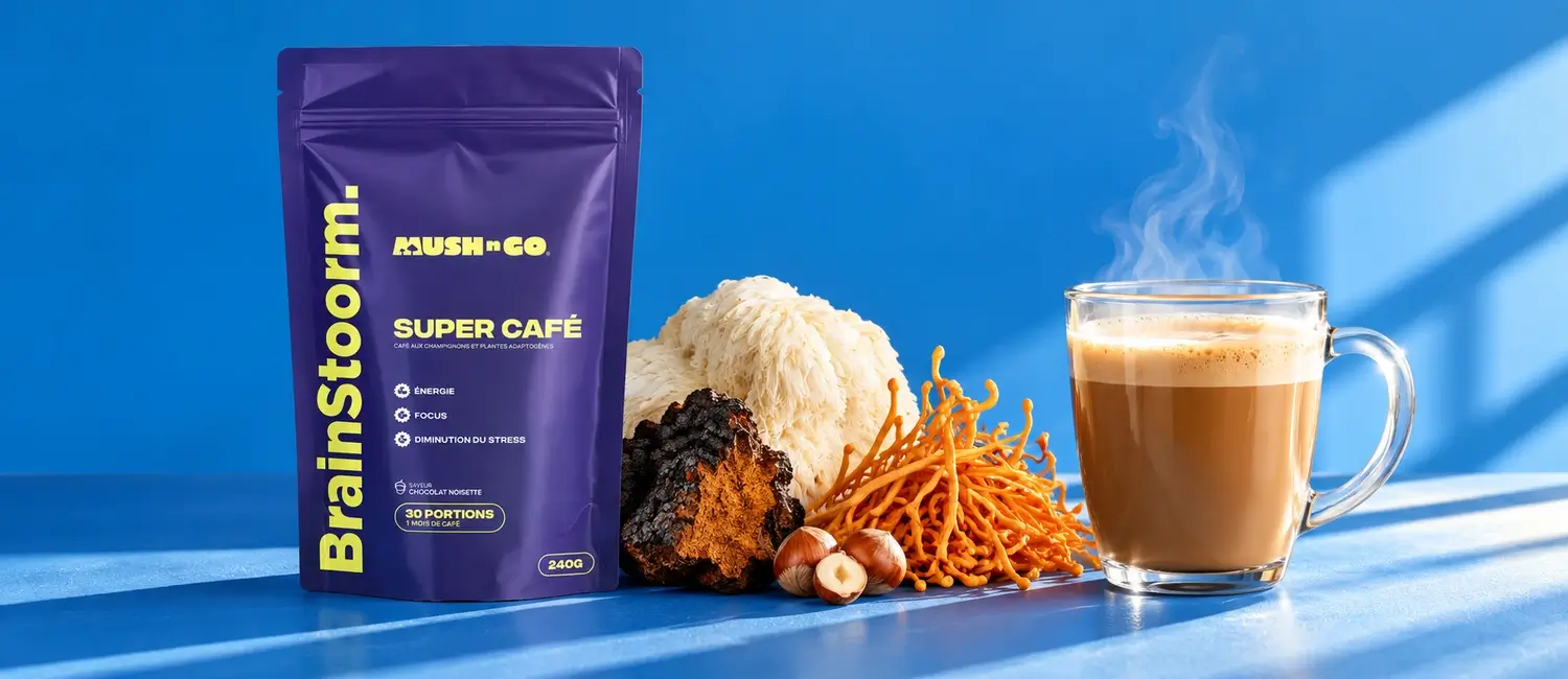 Brainstoorm von Mush N Go mit einer dampfenden Tasse, Lion’s Mane, Chaga und Cordyceps