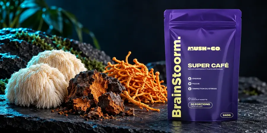 Brainstoorm von Mush N Go neben Lion’s Mane, Chaga und Cordyceps